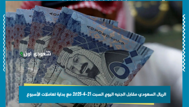 الريال السعودي مقابل الجنيه اليوم السبت 21-6-2025 مع بداية تعاملات الأسبوع