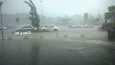 نشاط رياح ملحوظ في المناطق الحدودية الشمالية