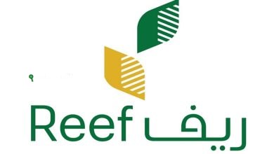 الفئات المستهدفة من دعم ريف