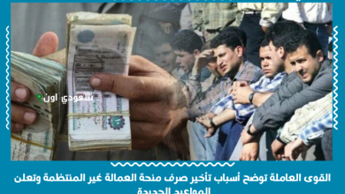 القوى العاملة توضح أسباب تأخير صرف منحة العمالة غير المنتظمة وتعلن المواعيد الجديدة