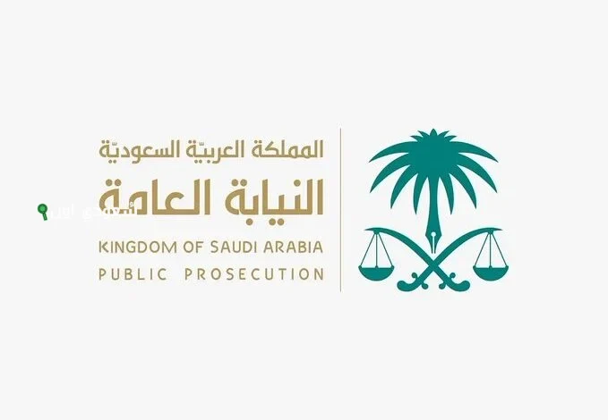 النيابة العامة توقف وافدين