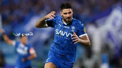 أليكساندر ميتروفيتش