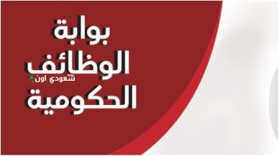 الوظائف الحكومية