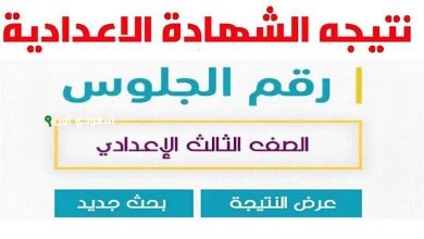 بوابة التعليم الأساسي تعلن نتيجة الصف الثالث الإعدادي لكل المحافظات برقم الجلوس بس