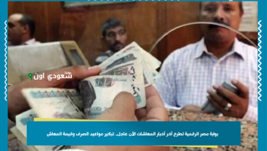 بوابة مصر الرقمية تطرح آخر أخبار المعاشات الآن عاجل.. تبكير مواعيد الصرف وقيمة المعاش