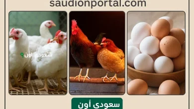 بورصة الدواجن