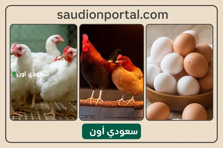 بورصة الدواجن