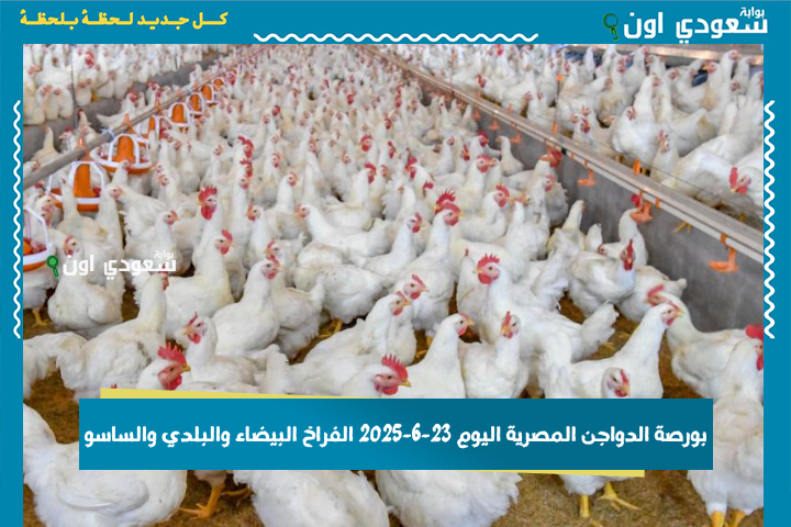 بورصة الدواجن المصرية اليوم 23-6-2025 الفراخ البيضاء والبلدي والساسو
