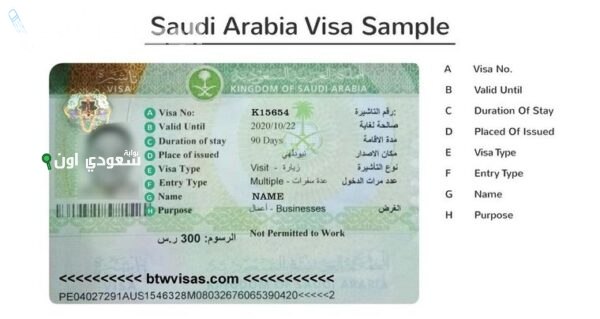 تقدر تطلعها من تليفونك! شروط الزيارة العائلية في السعودية بعد آخر تعديلات مجلس الوزراء.. مش هتاخد 5 دقائق