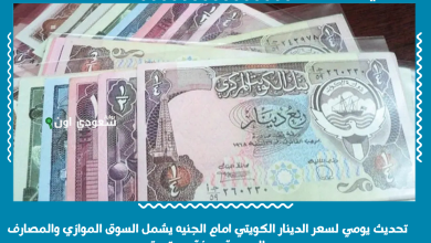 تحديث يومي لسعر الدينار الكويتي امام الجنيه يشمل السوق الموازي والمصارف الرسمية بصفة مستمرة