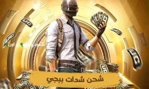 تحديثات شحن شدات ببجي