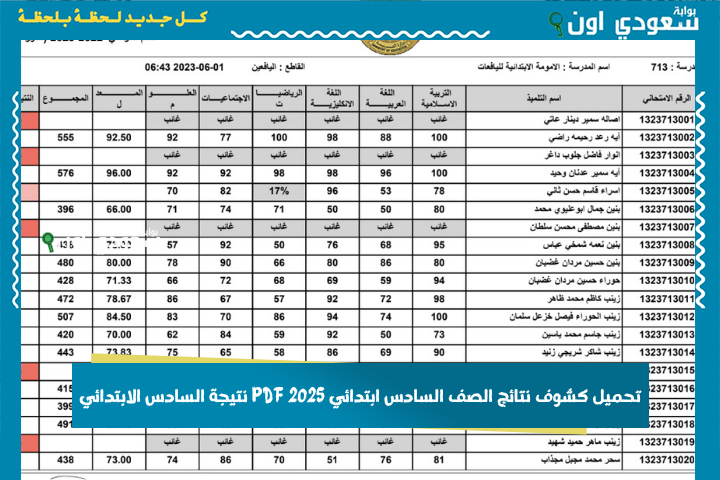 شيك على اسمك.. تحميل كشوف نتائج الصف السادس ابتدائي 2025 PDF نتيجة السادس الابتدائي في جميع المحافظات