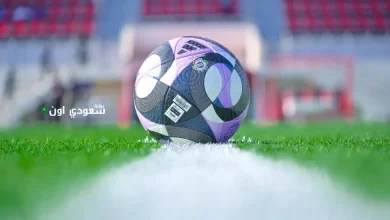 تطبيق تطبق نظام التأمينات إلزاميًا على اللاعبين السعوديين
