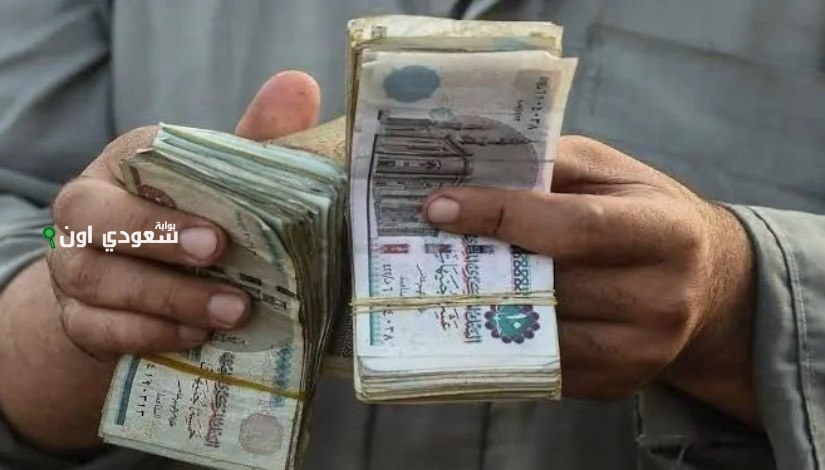 تطبيق إلزاميًا على اللاعبين والمدربين! تعديلات جذرية على نظام التأمينات الاجتماعية بداية من 1 يوليو 2025