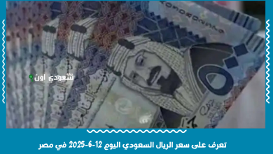 تعرف على سعر الريال السعودي اليوم 12-6-2025 في مصر