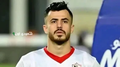 محمود حمدي الونش