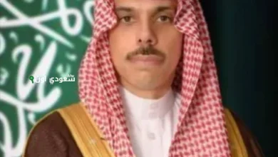 وزير الخارجية ونظيره الكويتي يناقشان هاتفيًا تداعيات الهجوم الإسرائيلي على إيران