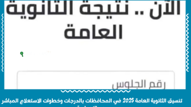 تنسيق الثانوية العامة 2025 في المحافظات بالدرجات وخطوات الاستعلام المباشر بعد الإعدادية
