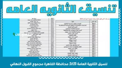 تنسيق الثانوية العامة 2025 محافظة القاهرة مجموع القبول النهائي