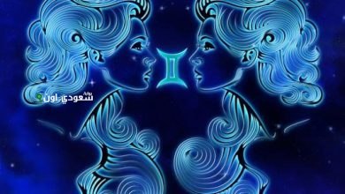 توقعات برج الجوزاء