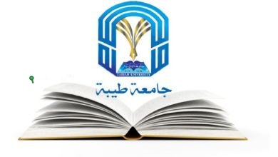 جامعة طيبة