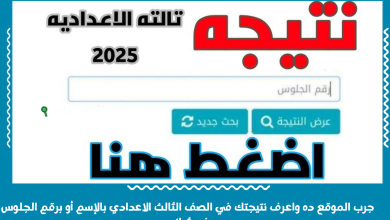 جرب الموقع ده واعرف نتيجتك في الصف الثالث الاعدادي بالإسم أو برقم الجلوس في ثواني