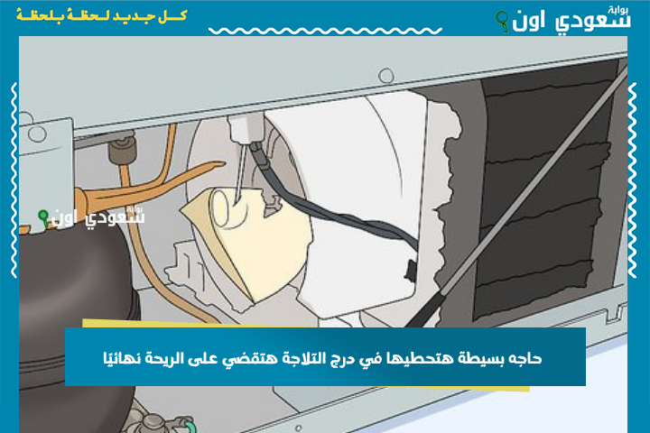 حاجه بسيطة هتحطيها في درج التلاجة هتقضي على الريحة نهائيًا! اوعى تكوني لسا مجربتيهاش