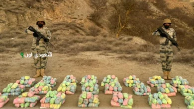 إحباط تهريب 320 كجم من القات المخدر