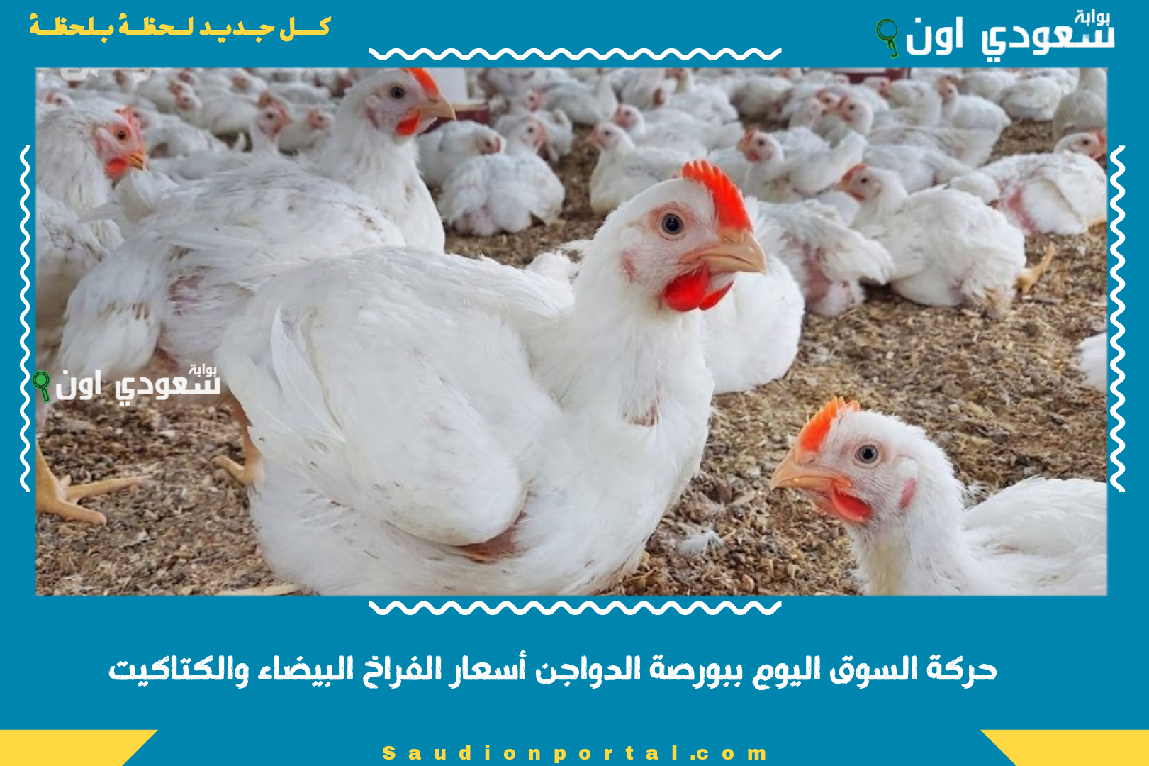 حركة السوق اليوم ببورصة الدواجن أسعار الفراخ البيضاء والكتاكيت