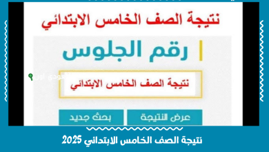 نتيجة الصف الخامس الابتدائي 2025
