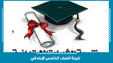 نتيجة الصف السادس الابتدائي