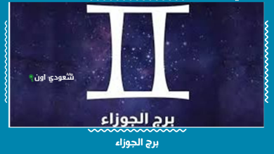 برج الجوزاء