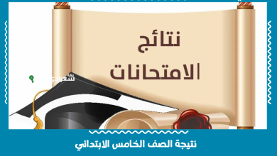 نتيجة الصف الخامس الابتدائي