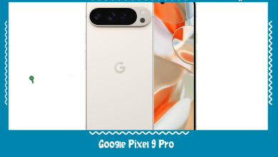 Google Pixel 9 Pro
