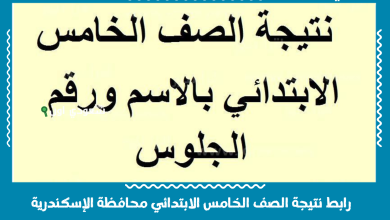 رابط نتيجة الصف الخامس الابتدائي محافظة الإسكندرية