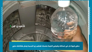 حطي شوية خل في غسالتك وشوفي النتيجة بنفسك! هتبقى زي الجديدة ومش هتكلفك مليم