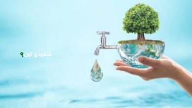 قطرة الحياة أخبار جديدة تبرز أهمية الحفاظ على الموارد المائية في بلادنا