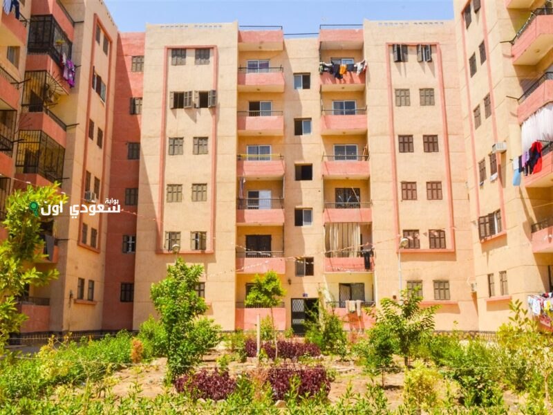 بالرقم القومي.. رابط الاستعلام عن شقق الإسكان الاجتماعي cservices.shmff.gov.eg صندوق الإسكان الاجتماعي