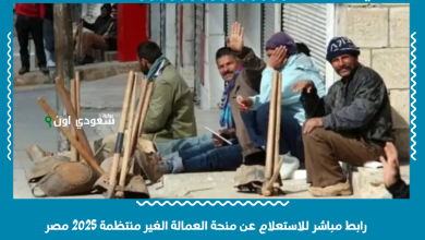 رابط مباشر للاستعلام عن منحة العمالة الغير منتظمة 2025 مصر