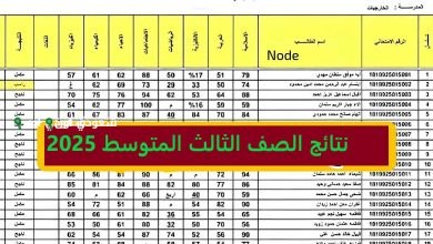 رابط نتائج الثالث متوسط 2025 الدور الأول استعلام مباشر results.mlazemna.com موقع نتائجنا