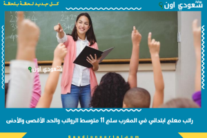 راتب معلم ابتدائي في المغرب سلم 11 متوسط الرواتب والحد الأقصى والأدنى