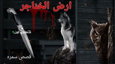 رواية الخناجر