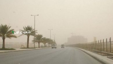 طقس ساخن ورياح نشطة تثير الأتربة والغبار في عدة مناطق