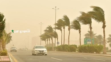 عواصف وأتربة مثارة تؤثر على القنفذة والليث