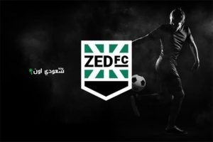 نادي زد