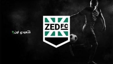 نادي زد