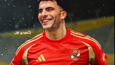 أحمد سيد زيزو
