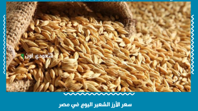سعر الأرز الشعير اليوم في مصر