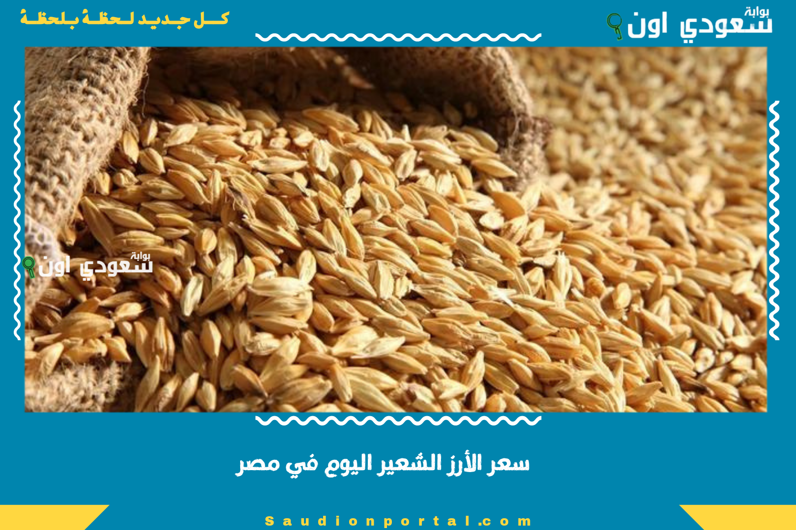 سعر الأرز الشعير اليوم في مصر