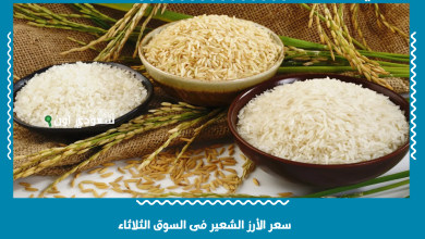 سعر الأرز الشعير فى السوق الثلاثاء